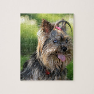 Niedlich Little Yorkshire Terrier Dog