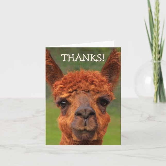 Niedlich Llama Dankeschön Karte (Vorderseite)
