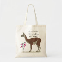 Niedlich Llama Illustration Guanaco Südamerika
