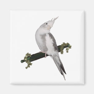Niedlich Lutino Cockatiel Bird Ivy Perltier Magnet