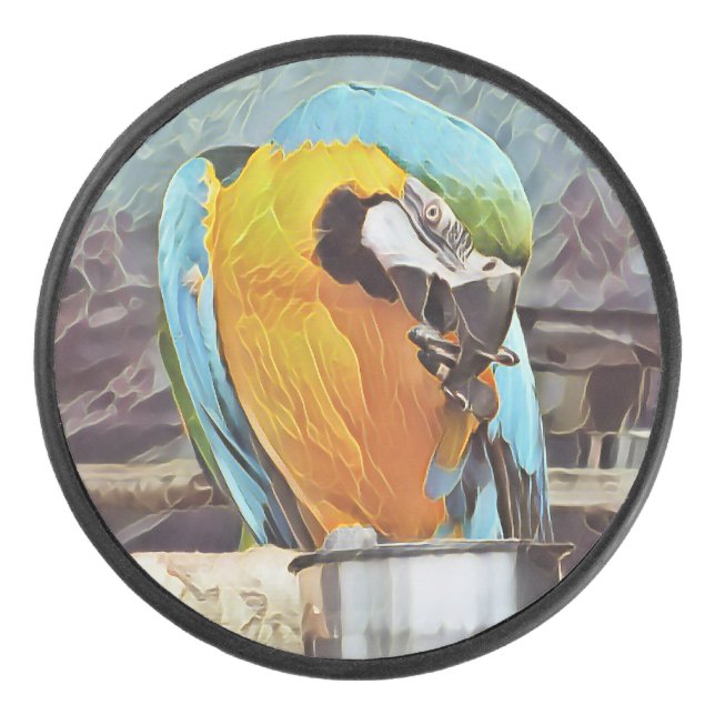 NIEDLICH MACAW EISHOCKEY PUCK (Vorderseite)