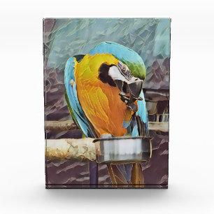 NIEDLICH MACAW FOTOBLOCK