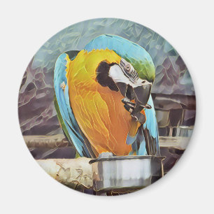 NIEDLICH MACAW MAGNET