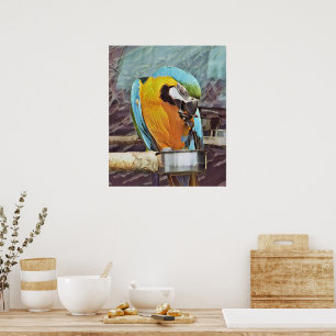 NIEDLICH MACAW POSTER
