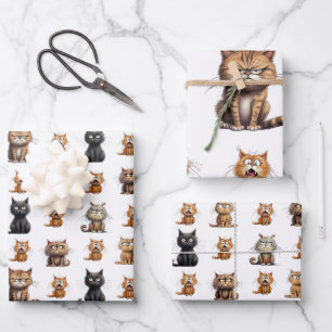 Niedlich Mad Angry Black Gray Orange Cats Geschenkpapier Set