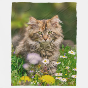 Niedlich Maine Coon Kitten Cat in Blume Wiese - Fleecedecke