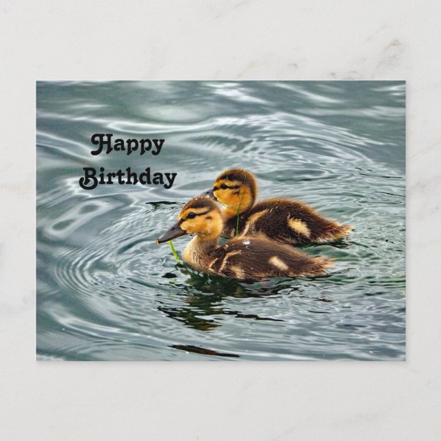 Niedlich Mallard Ducklings Foto Geburtstag Postkarte (Vorderseite)