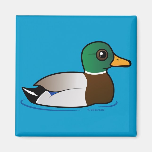 Niedlich Mallard Male Magnet (Vorne)