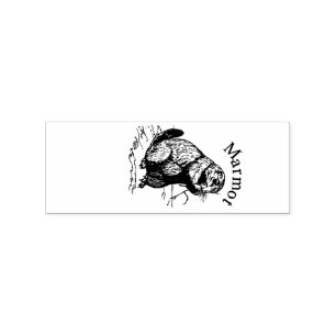 Niedlich Marmot Animal Thunder_Cove Gummistempel