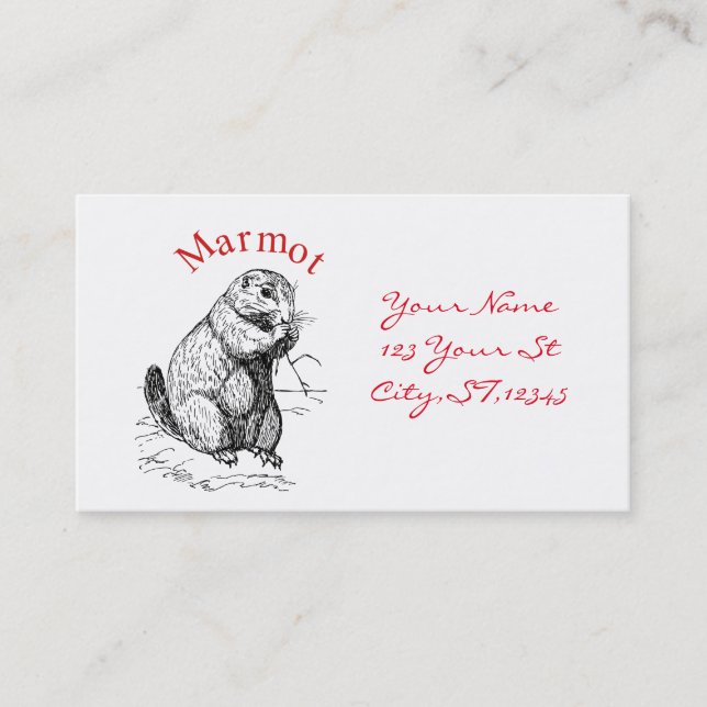 Niedlich Marmot Animal Thunder_Cove Visitenkarte (Vorderseite)
