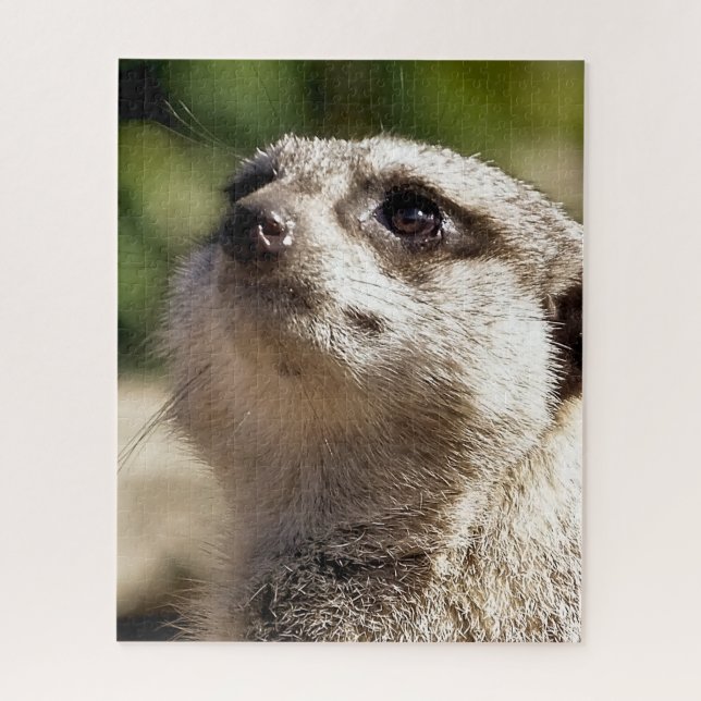 NIEDLICH MEERKAT (Vertikal)