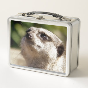 NIEDLICH MEERKAT METALL BROTDOSE