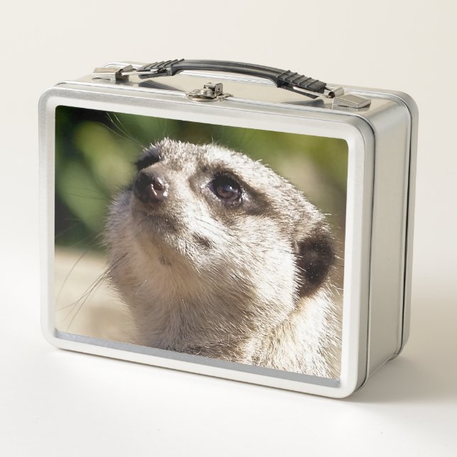NIEDLICH MEERKAT METALL BROTDOSE (Vorderseite)