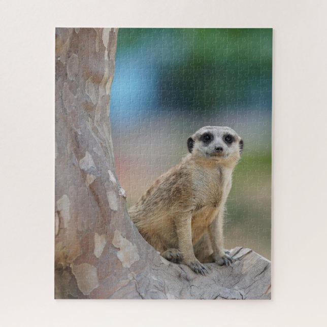 Niedlich Meerkat Sat on Tree (Vertikal)