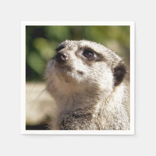 NIEDLICH MEERKAT SERVIETTE