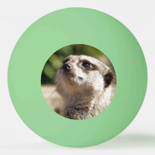 NIEDLICH MEERKAT TISCHTENNISBALL