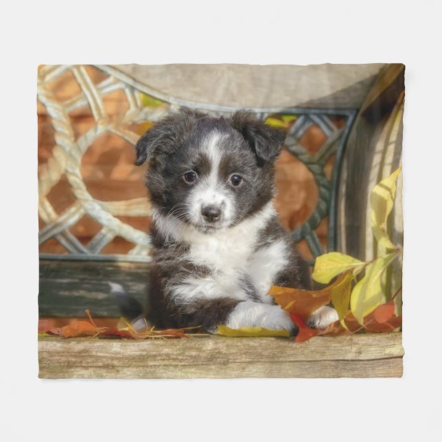 Niedlich Mini Aussie Shepherd Dog Bi-Color Welpe _ Fleecedecke (Vorderseite (Horizontal))