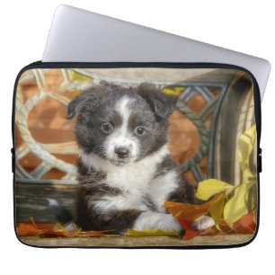 Niedlich Mini Aussie Shepherd Dog Bi-Color-Welpe Laptopschutzhülle