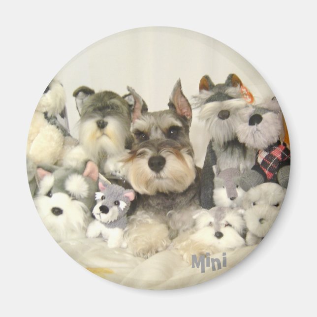 NIEDLICH Mini Schnauzer Magnet (Vorne)