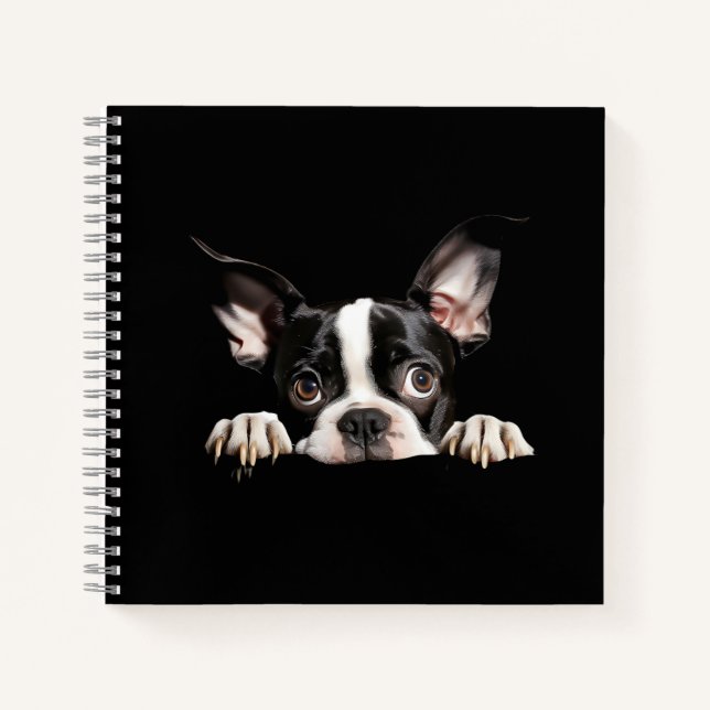 Niedlich nachdenklicher Boston Terrier Puppy Notizbuch (Vorderseite)