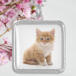 Niedlich Orange Kitten Foto Versilberte Kette<br><div class="desc">Lassen Sie Ihre Liebe mit dieser anmutigen, maßgeschneiderten Halskette mit einem süß-orangefarbenen Kätzchen-Foto für Furry-Fans ausklingen. Set in einem glänzenden silberfarbenen Rahmen mit einer passenden Kette, dieses charmante Stück ist ein purpures Geschenk für Katzenliebhaber, Hausmütter oder alle, die niedliche und kuschelige Gefährten lieben. Ob als tägliches Accessoire getragen oder als...</div>