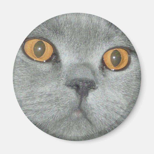 Niedlich Orange Mit Augen Kitty Magnet (Vorne)