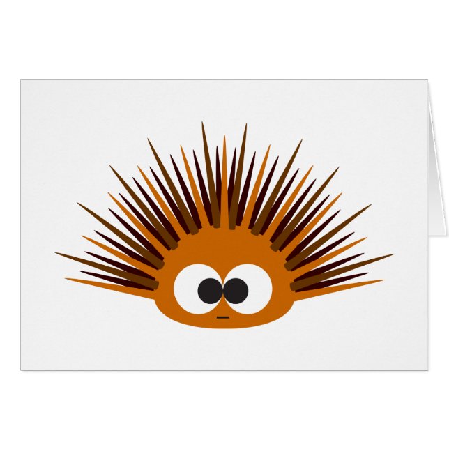 Niedlich Orange Spiny Sea Urchin (Vorderseite (Horizontal))
