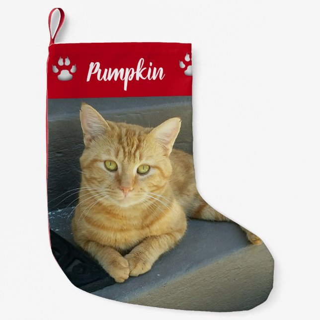 Niedlich Orange Tabby Cat Custom Pet Foto Name Kleiner Weihnachtsstrumpf (Vorderseite)