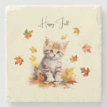 Niedlich Orange Tabby Kitten in Herbstlauben