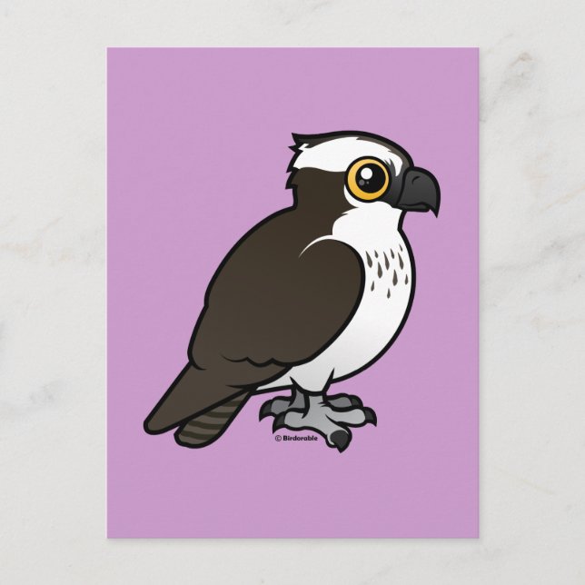 Niedlich Osprey Postkarte (Vorderseite)