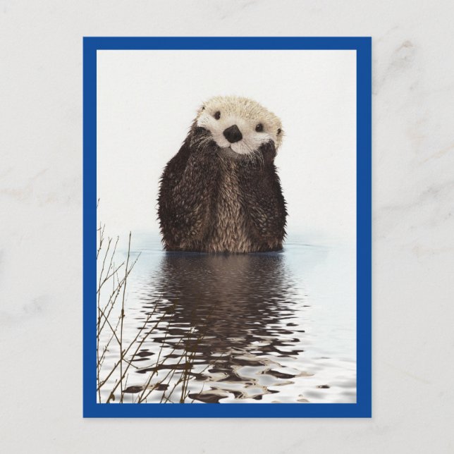 Niedlich Otter Animal Blue Postkarte (Vorderseite)