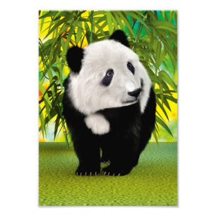 Niedlich Panda Bear Cub Kawaii Tiergeschenk Fotodruck