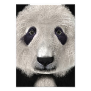 Niedlich Panda Bear Kawaii Animal Lover Perfektes  Fotodruck
