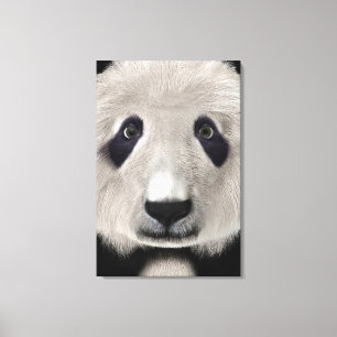Niedlich Panda Bear Kawaii Animal Lover Perfektes  Leinwanddruck