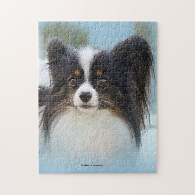 Niedlich Papillon Toy Spaniel Dog am Dock (Vertikal)