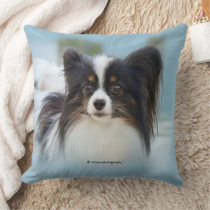 Niedlich Papillon Toy Spaniel Dog am Dock Kissen