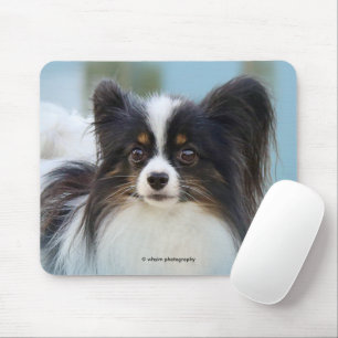 Niedlich Papillon Toy Spaniel Dog am Dock Mousepad