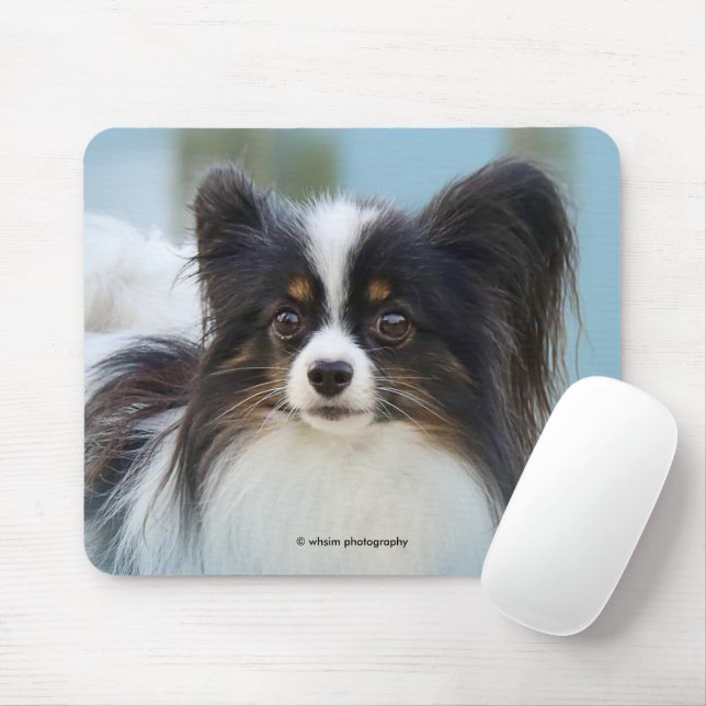 Niedlich Papillon Toy Spaniel Dog am Dock Mousepad (Mit Mouse)