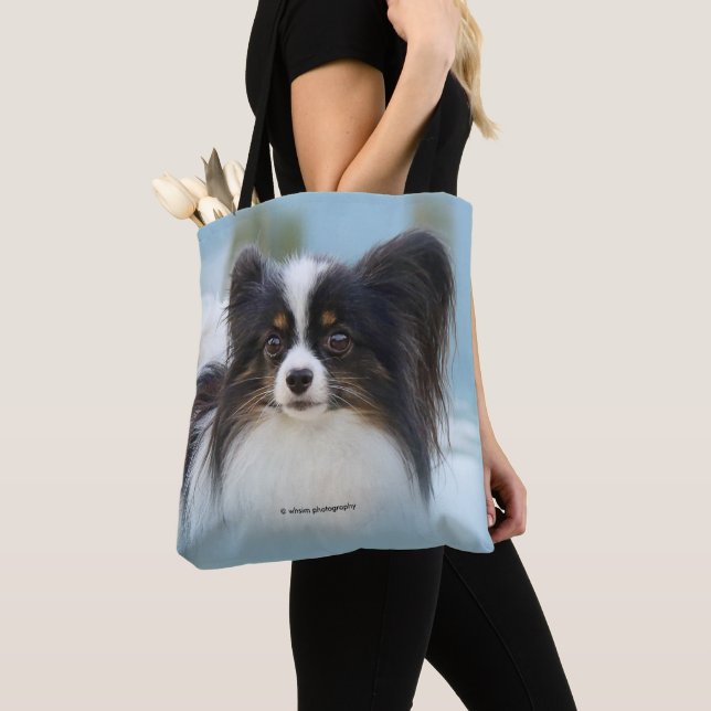 Niedlich Papillon Toy Spaniel Dog am Dock Tasche (Von Nahem)