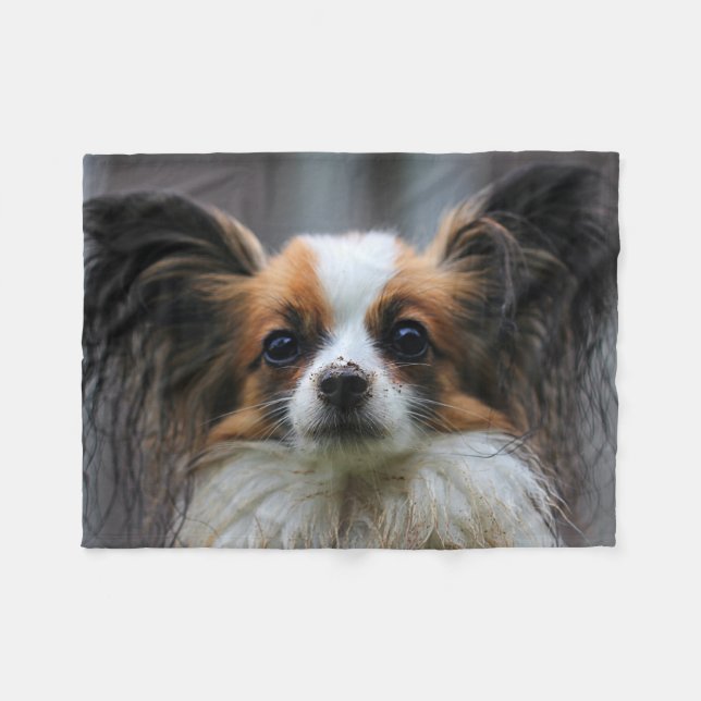 Niedlich Papillon Toy Spaniel Dog Fotografie Fleecedecke (Vorderseite (Horizontal))
