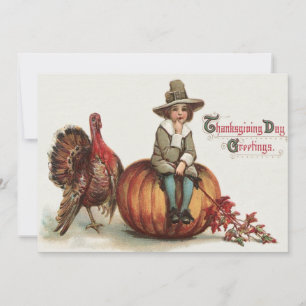 Niedlich Pilgrim Turkey Pumpkin Herbstlaub