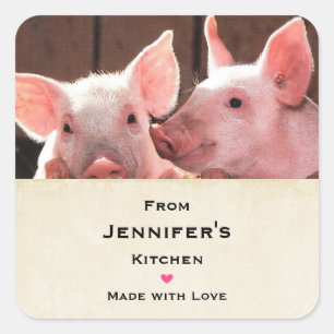 Niedlich Pink Ferkel Tierfotografie Küche Quadratischer Aufkleber