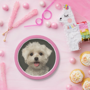 Niedlich Pink Pet Foto Geburtstagspapier Teller