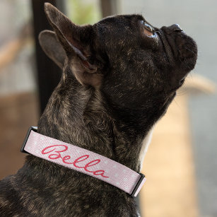 Niedlich Pink Stars Hund Welpe Hunde Name Personal Haustierhalsband