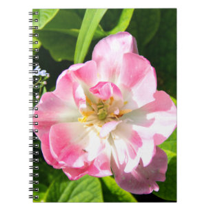 Niedlich-Pink-Tulpe Notizblock