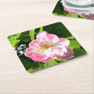 Niedlich-Pink-Tulpe Rechteckiger Pappuntersetzer