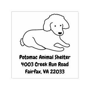 Niedlich Poodle Puppy Hund Lover Permastempel