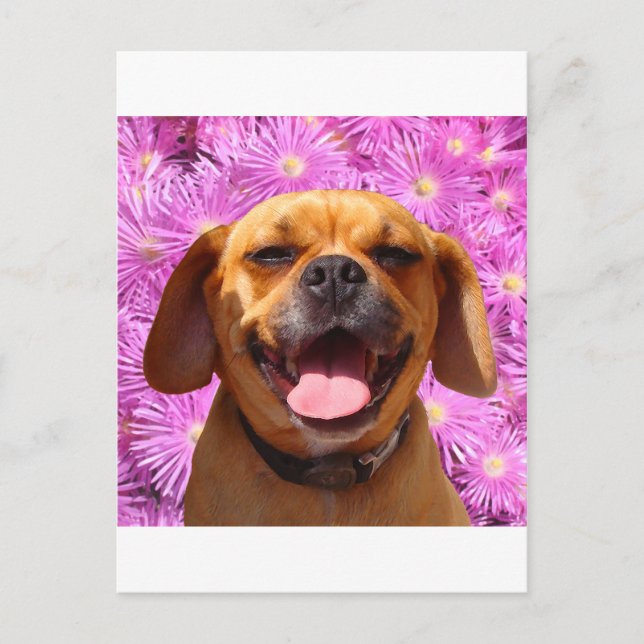 Niedlich Puggle Postkarte (Vorderseite)