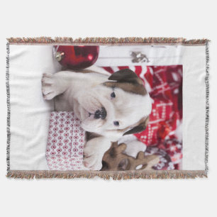 Niedlich Puppy English Bulldog   Weihnachten Decke