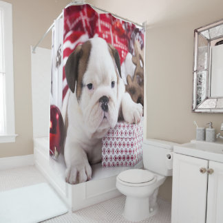 Niedlich Puppy English Bulldog | Weihnachten Duschvorhang